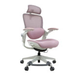 เก้าอี้สุขภาพ SCOOT WCH-00014